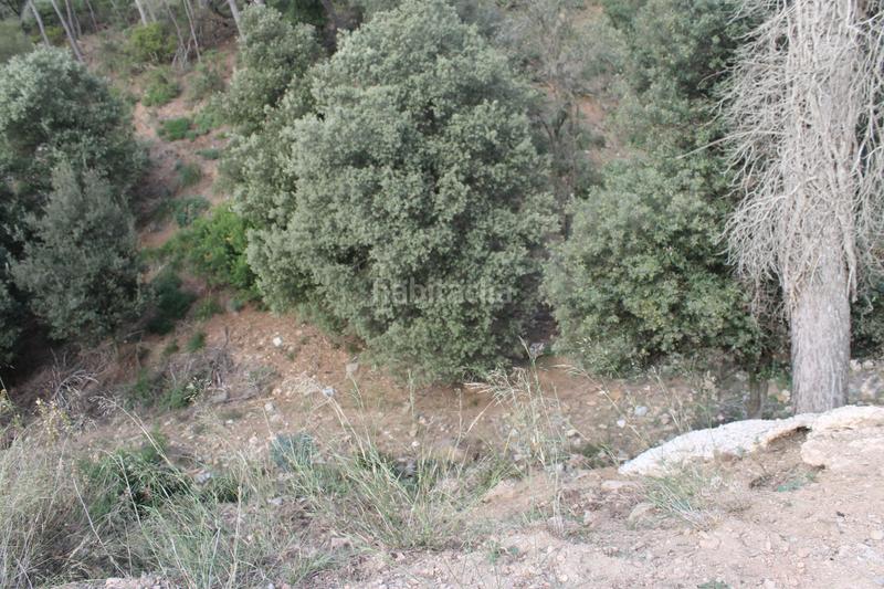 Foto fcb59356-3b0a-42a6-8367-ca26de833151. Wohngrundstück in carrer del mas gelat 37 in Torrelles de Llobregat