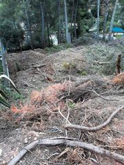 Solar urbano en Avinguda quatre, 33. Terreno en urb. can güell
