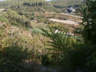 Residential Plot in Carrer de les alzines 4. Terreno muy cerca del pueblo
