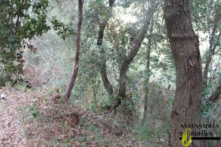Residential Plot in Calle rafael casanova 102