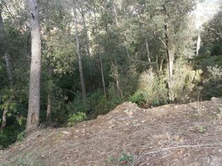 Terreny residencial a Carrer ronda del moli 11
