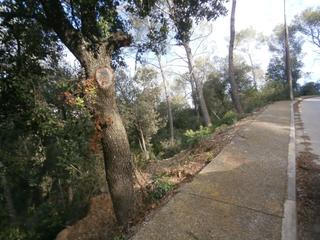 Terreno residencial en Carrer ronda del moli 11