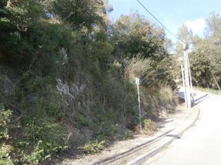 Residential Plot in Carrer dels pins 2