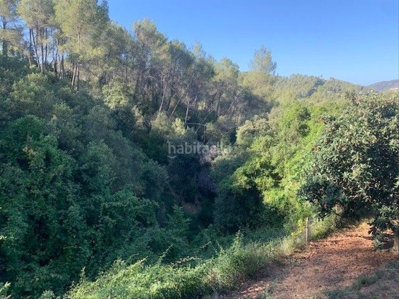 Foto ae017555-5f11-4ba7-9fd7-b6c2d6707da4. Terreno residencial en carrer de les alzines 23 en Torrelles de Llobregat