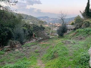 Residential Plot in Carrer de les alzines 23