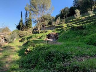 Terreno residenziale in Carrer de les alzines 23