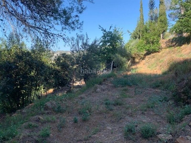 Foto e7117497-4312-4c88-9dec-ee79abeb243a. Wohngrundstück in carrer de les alzines 23 in Torrelles de Llobregat