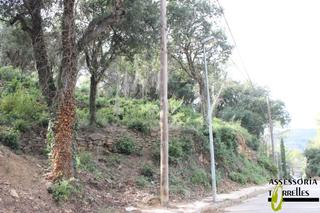 Terreny residencial a Carrer dels salzes 9