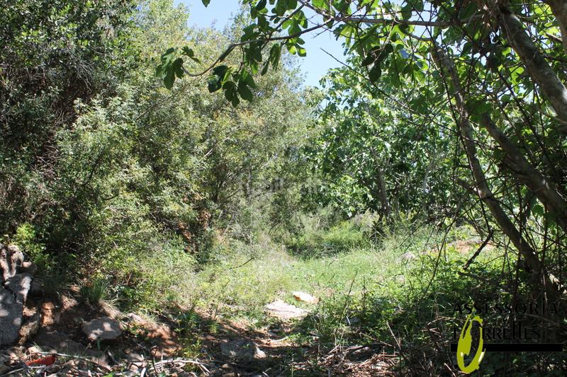 Foto 0246fe29-4433-442b-8f28-b07a42cea811. Terrain résidentiel dans Torrelles de Llobregat