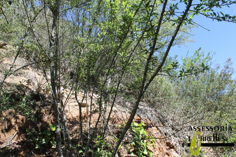 Foto 0e88556c-8f5c-416d-abc2-578b2c1ef4e0. Terrain résidentiel dans Torrelles de Llobregat