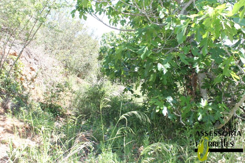 Foto b5cd6238-e678-4297-bcff-f33a93c2ed8c. Terrain résidentiel dans Torrelles de Llobregat