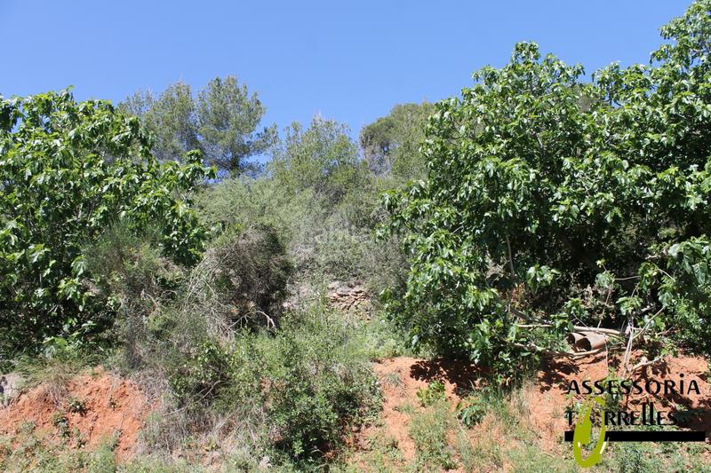 Foto c13fc8c5-254c-4a2d-8e57-6a72f3b7bef7. Terrain résidentiel dans Torrelles de Llobregat