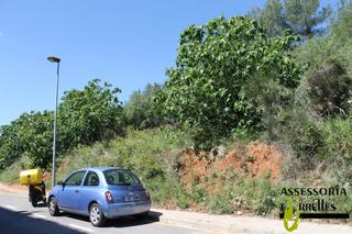 Residential Plot  Carrer montserrat roig. En el centro del pueblo