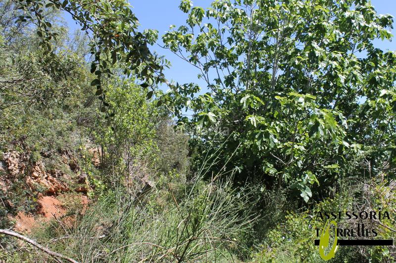 Foto ebca65eb-f1a1-48ed-a95f-f62ccb70c9db. Terrain résidentiel dans Torrelles de Llobregat