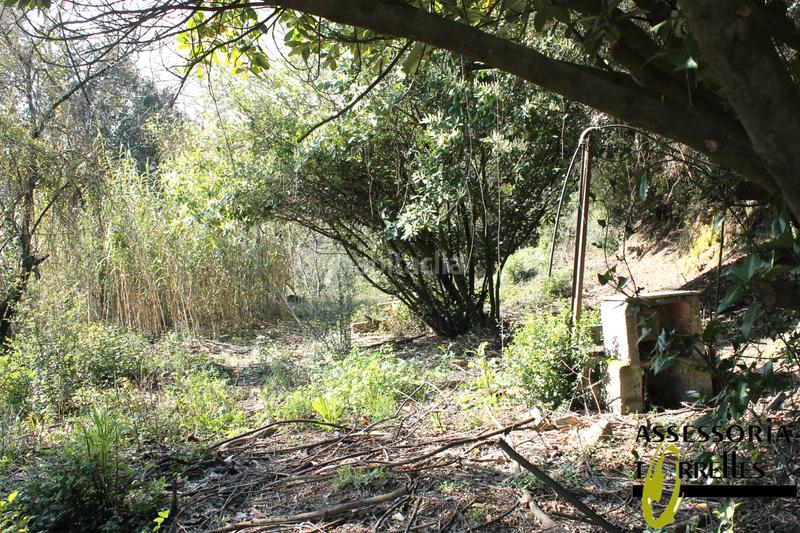 Foto 07e65291-09d9-488e-b8a8-c0072594d1c5. Haus mit kamin parking in Torrelles de Llobregat