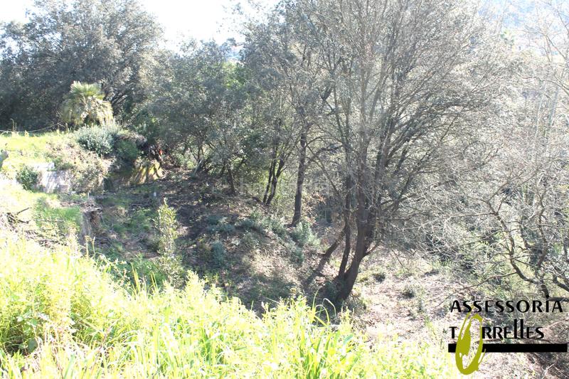 Foto 0ce1f215-459e-462b-abbc-fdcedb4c2549. Haus mit kamin parking in Torrelles de Llobregat