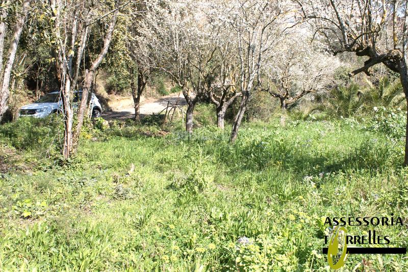 Foto 1aa14488-14ef-4355-9e32-e4bebba55fc6. Haus mit kamin parking in Torrelles de Llobregat