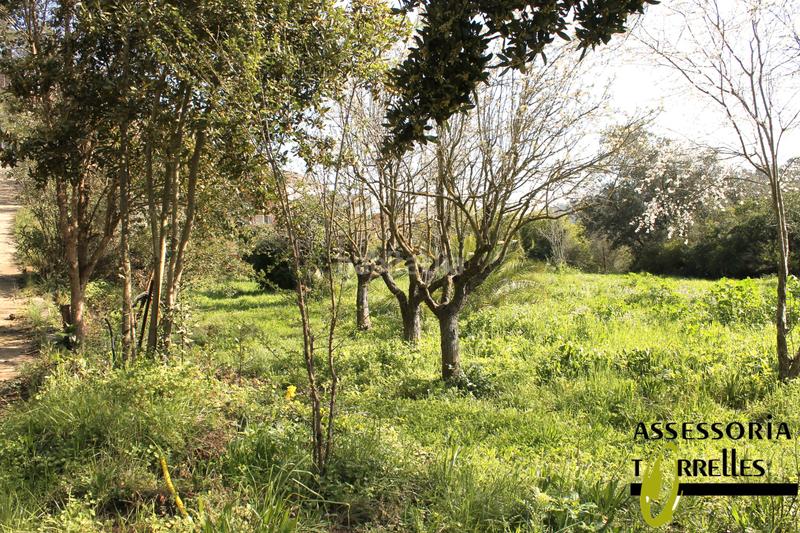 Foto 2b7563e2-7de7-4900-9253-d2d026844c27. Haus mit kamin parking in Torrelles de Llobregat