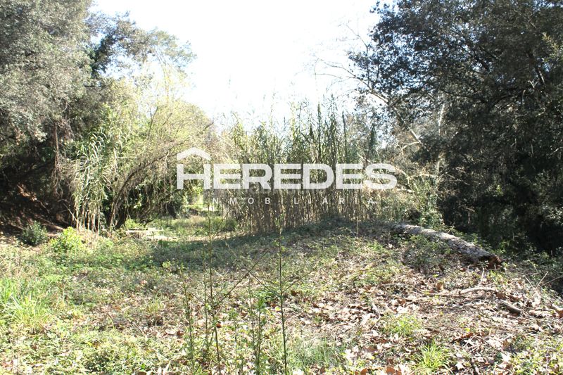 Foto 4efb5f57-821c-4399-a7cd-e839bda092c8. Casa amb xemeneia aparcament a Torrelles de Llobregat