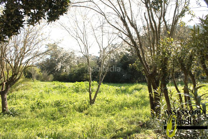 Foto 54644fb9-3a77-4f8c-b183-a584d6383b00. Haus mit kamin parking in Torrelles de Llobregat