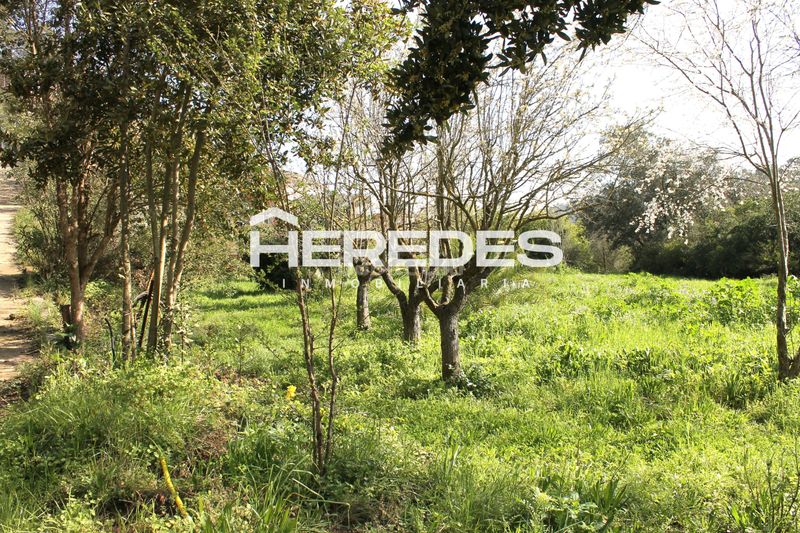 Foto 5a6dc690-7b7f-4b31-b3c0-cd3fc5b3ed5b. Casa amb xemeneia aparcament a Torrelles de Llobregat