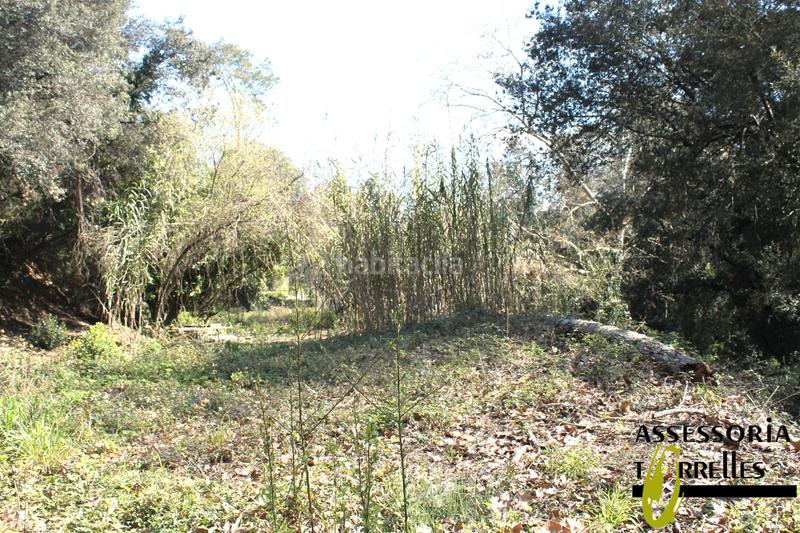 Foto 68e6eec0-0b8e-4cd5-899c-5817c491b2f7. Haus mit kamin parking in Torrelles de Llobregat