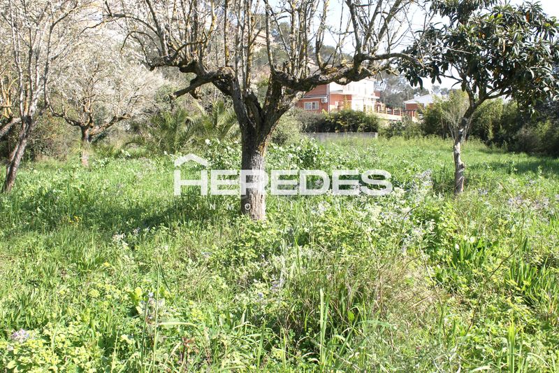 Foto a9efa48a-30eb-4eb0-b1fb-70810668173b. Casa amb xemeneia aparcament a Torrelles de Llobregat
