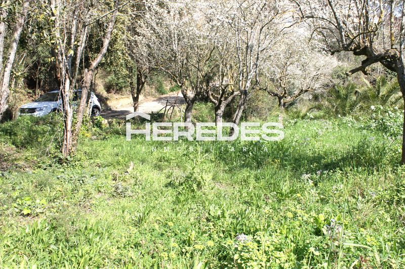 Foto ce0a0205-245f-4640-828e-d65df7493938. Casa amb xemeneia aparcament a Torrelles de Llobregat