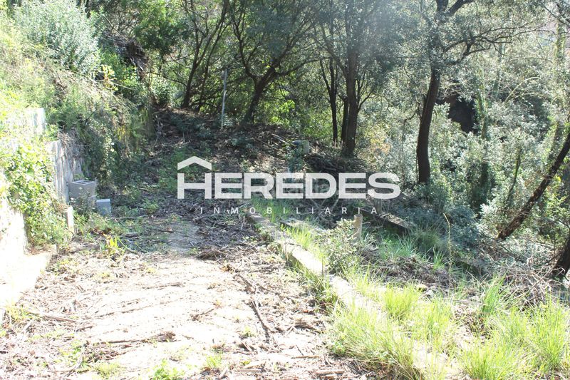 Foto e293dfc3-3a4c-4b3d-8037-fece41c7c806. Casa amb xemeneia aparcament a Torrelles de Llobregat