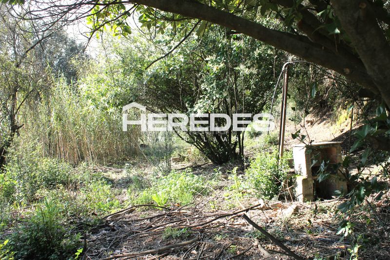 Foto e33977cc-ac5d-48e3-9e71-baae06dfaf0f. Casa amb xemeneia aparcament a Torrelles de Llobregat
