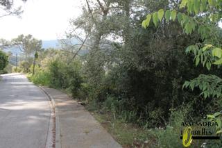 Terreno residenziale in Carrer Ronda del Moli 15