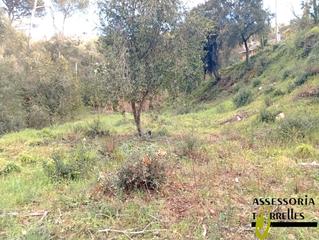 Terreny residencial a Carrer finestrelles 4. Para vivir con tranquilidad