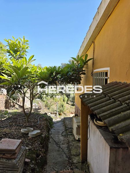 Foto 4e06ed22-2b80-4b1b-a668-0f4cd04085fa. Casa amb xemeneia calefacció aparcament piscina a Torrelles de Llobregat