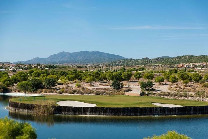 Foto e14316f1-b037-4e55-9a8e-0782ba539934. Rural plot in Baños y Mendigo Murcia