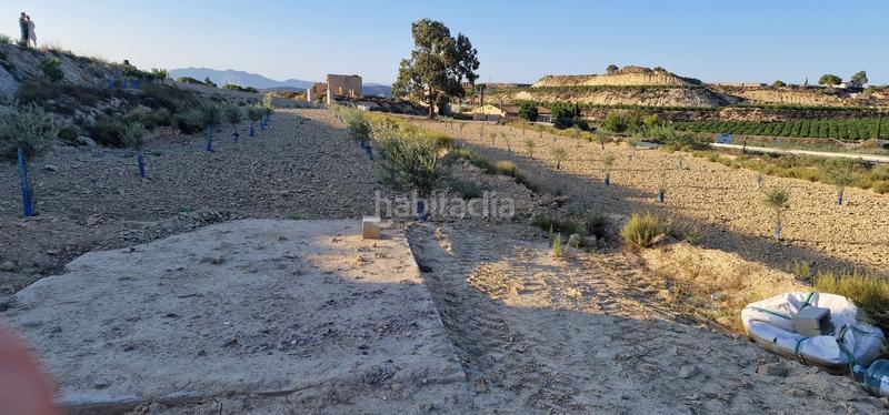 Foto 40b6dd37-3a43-473c-b08a-f1fd130a9235. Masía en carretera cabezo de la plata 21 en Cañadas de San Pedro Murcia