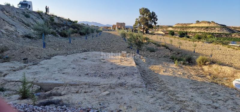 Foto 8dbcb13f-4632-4190-8cdd-28df8dd823ac. Masía en carretera cabezo de la plata 21 en Cañadas de San Pedro Murcia