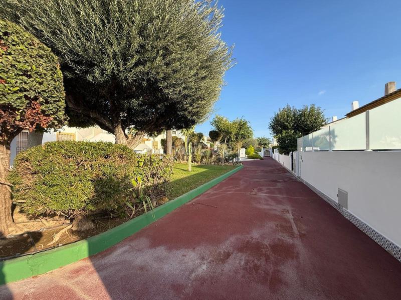 Foto 99351ff6-37e4-4967-a0f5-d1b73ef29d4b. Towny house with parking pool in Pueblo Latino Pilar de la Horadada