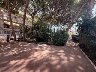 Penthouse in Calle Calle del Conde de Romanones,  22