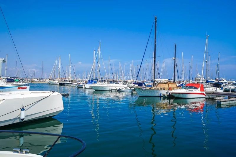 Foto 0bcc2871-b418-4096-a229-3dff9f06ec7f. Àtic amb calefacció aparcament piscina a San Pedro del Pinatar San Pedro del Pinatar