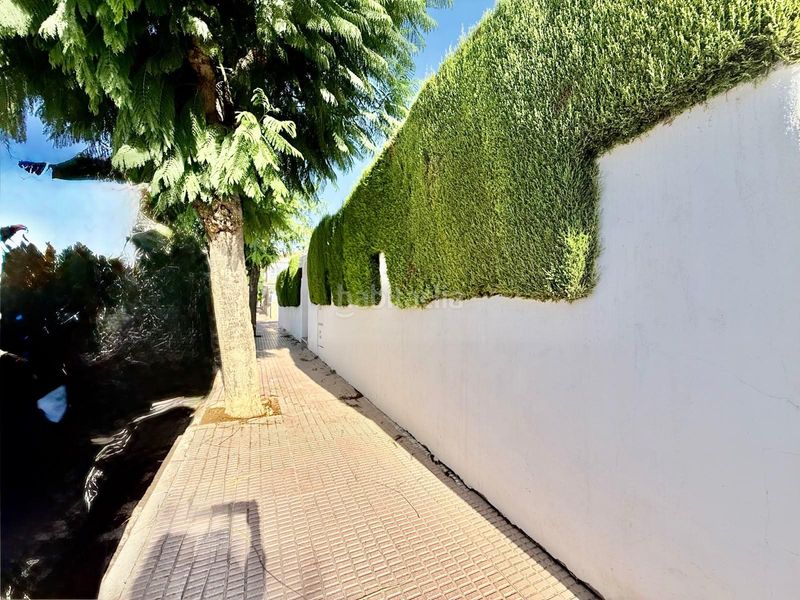 Foto 585c3220-e1c8-4adf-ab99-12fba9b113f3. Chalet en calle calle luz 60 en Centro Alcázares (Los)