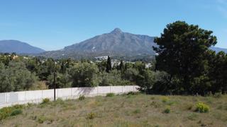 Terreny residencial  Judia-sur. Espectacular parcela  de más de 1.200 m2 en la zona más demanda