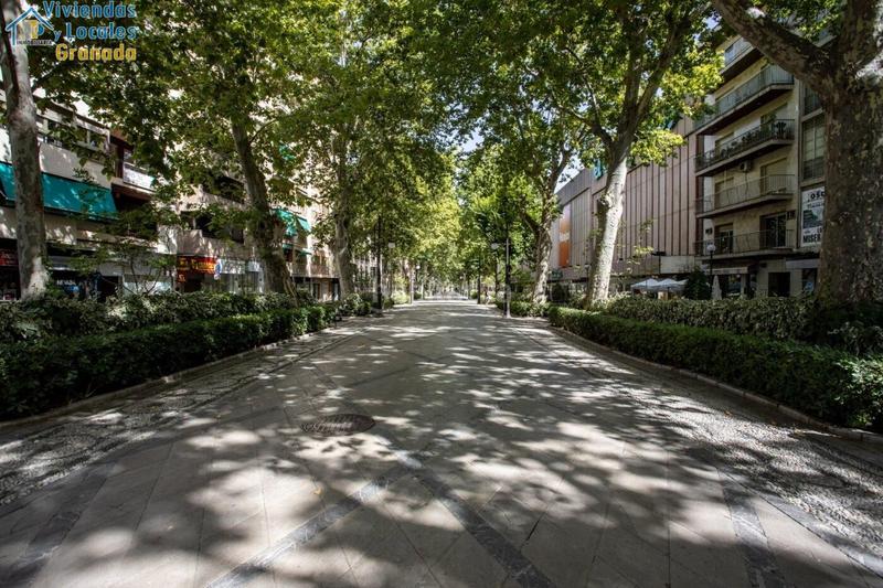 Foto 2bfda17b-a565-4b86-93ae-2c3cf0d2c8de. Locale commerciale in San Matías - Realejo Granada