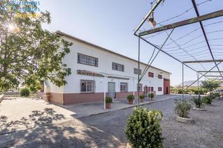 Xalet  Polígono 6 paraje 65 hoya mesa. Oportunidad! casa y nave en santa fé