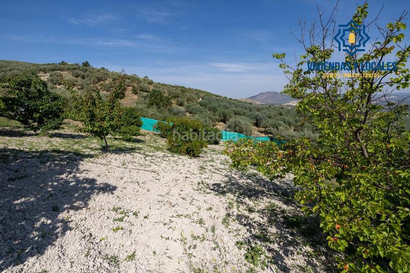 Foto 14adc8e8-d9b0-4566-bea0-bb1b9aa35308. Chalet estupendo chalet con apartamento y piscina en Salar