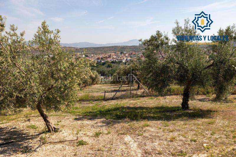 Foto a7e43f18-2366-44c4-81f0-0121350e50fe. Chalet estupendo chalet con apartamento y piscina en Salar