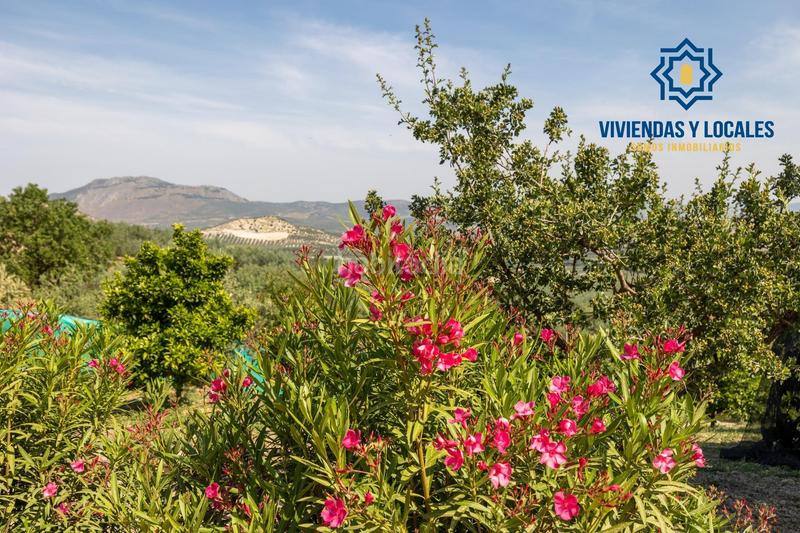 Foto fc88bfe8-d1d6-4355-8d2d-e3aa053657a6. Chalet estupendo chalet con apartamento y piscina en Salar