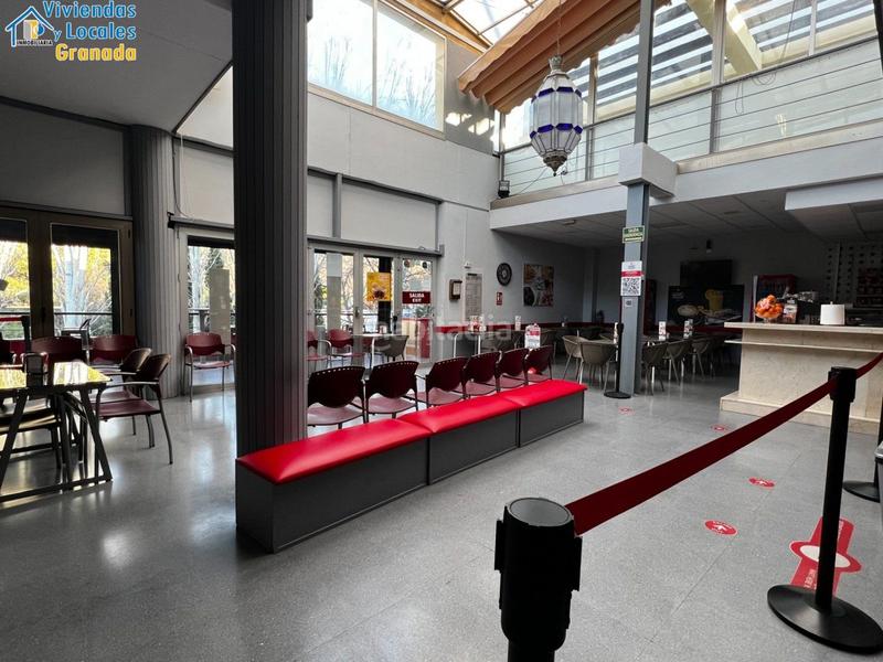 Foto a2eb7b83-127a-4003-a5e9-d2754ae4164a. Lloguer local comercial a San Matías - Realejo Granada