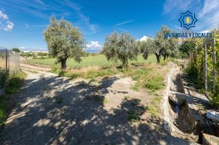 Finca rústica a Ramal del río. Suelo rústico en la parcela de río dilar