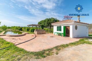 Finca rústica a Padul. Finca rústica en venta con casa, nave y piscina