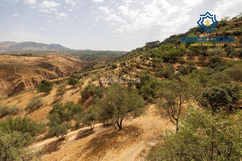 Foto 0ba83388-a031-4414-8bcd-307a7175d195. Mas avec piscine dans Haza Grande Granada